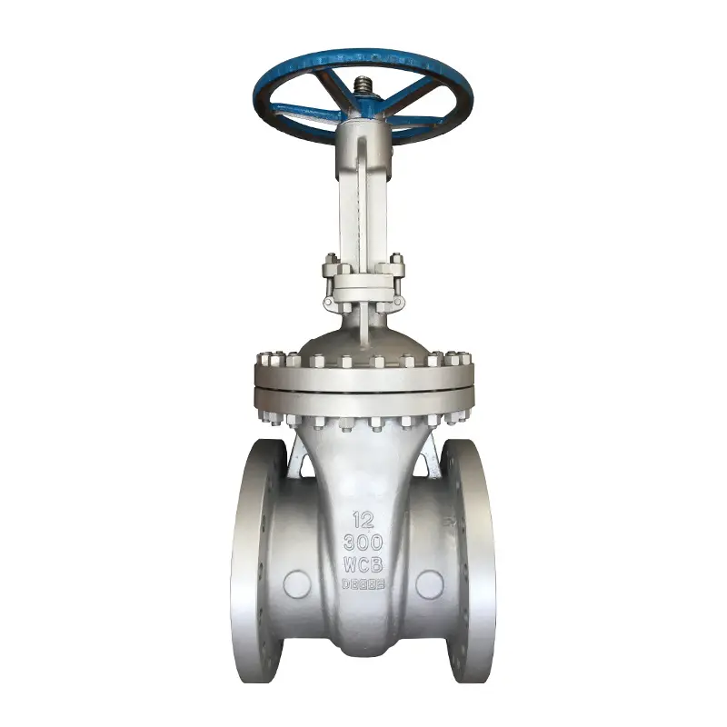 12吋''Z40-300LB-DN300